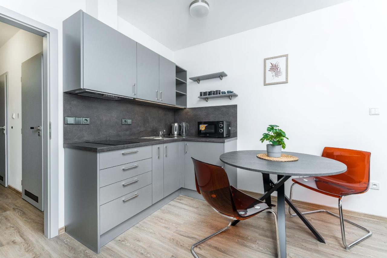 Apartman V Podebradech Podebrady Bagian luar foto