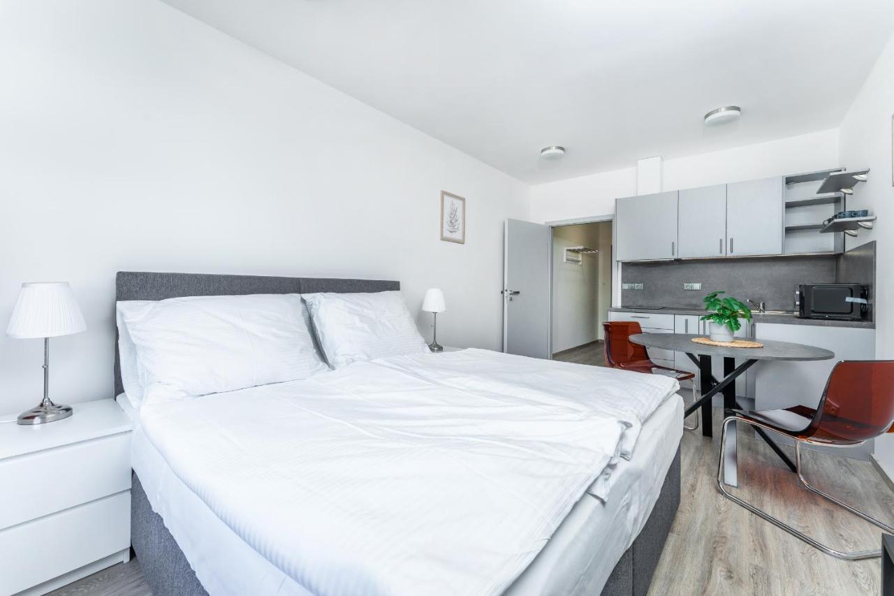 Apartman V Podebradech Podebrady Bagian luar foto