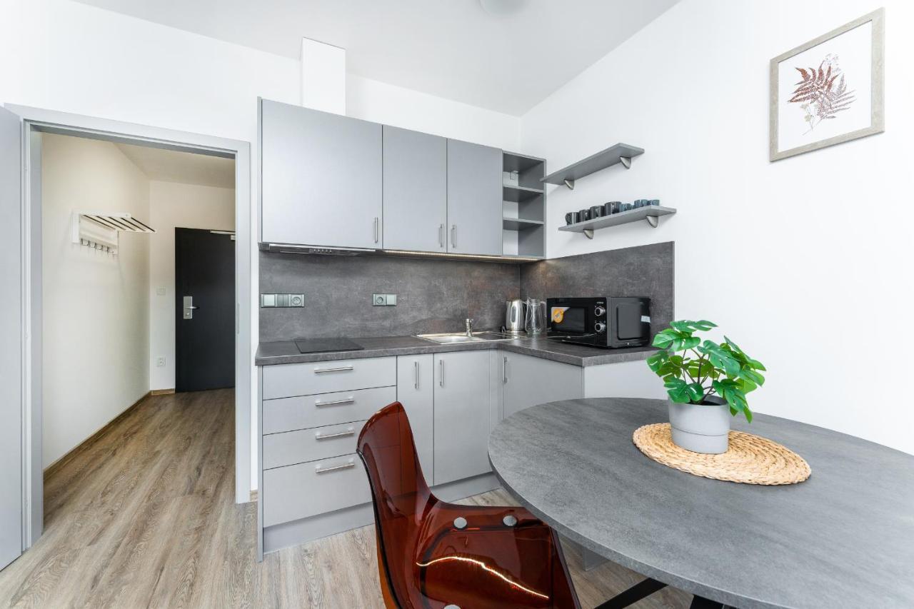 Apartman V Podebradech Podebrady Bagian luar foto
