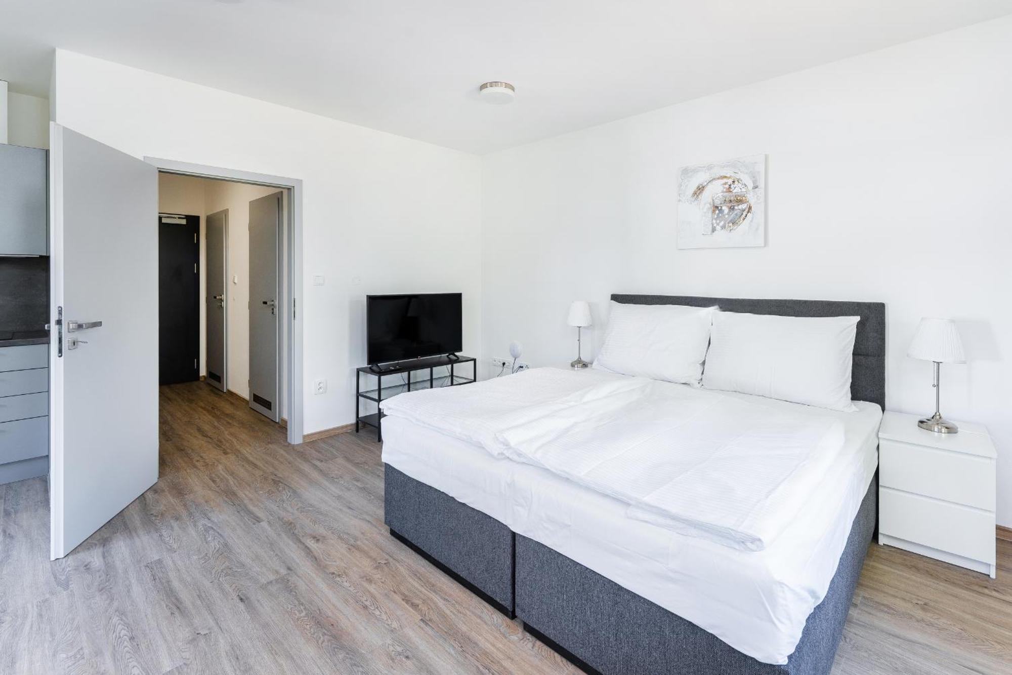 Apartman V Podebradech Podebrady Bagian luar foto