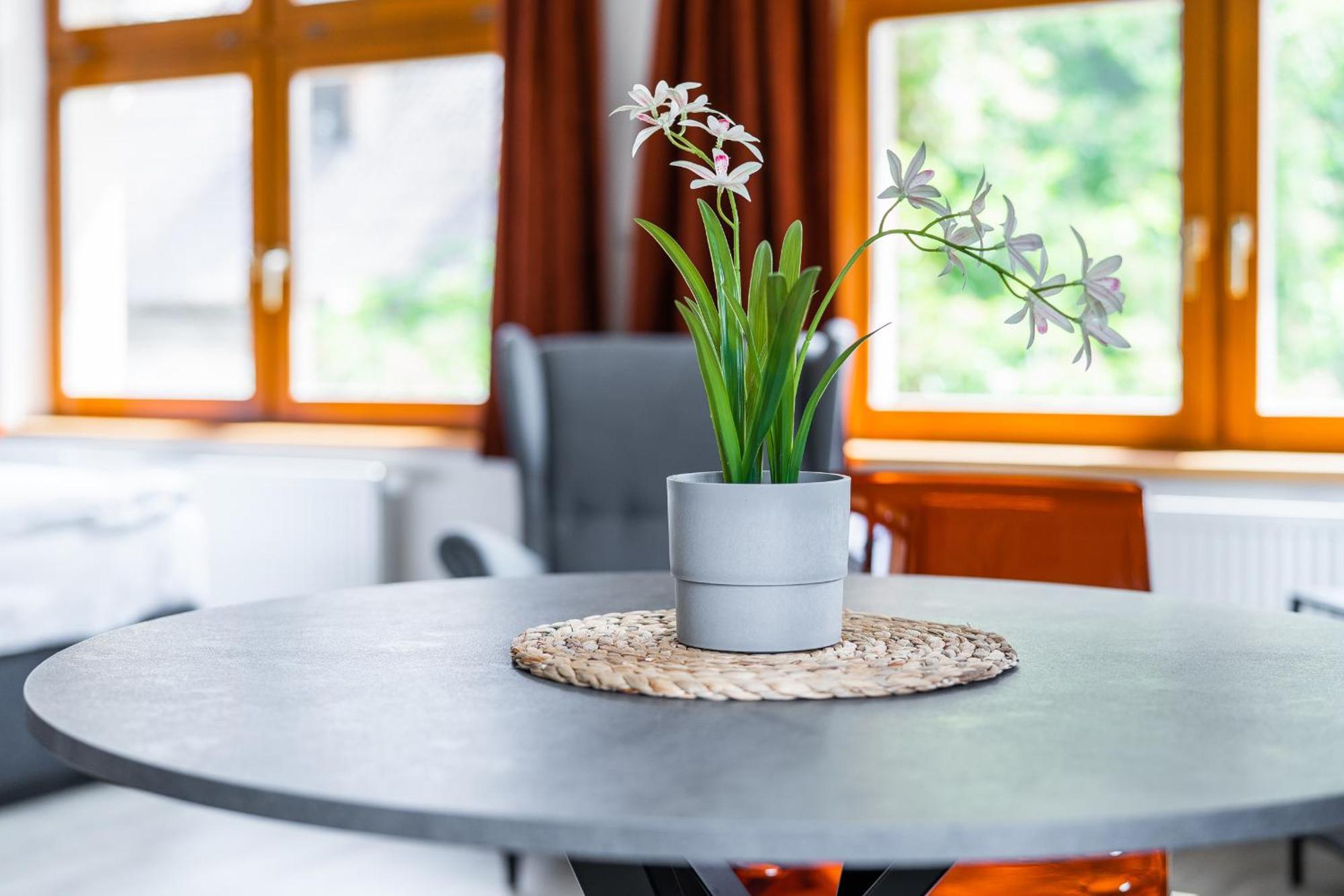 Apartman V Podebradech Podebrady Bagian luar foto